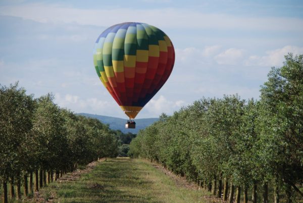 Cuánto cuesta un viaje en globo?