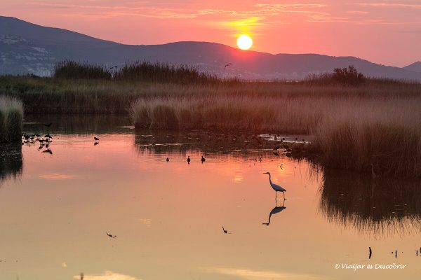 Aiguamolls del Empordà, salida del sol